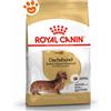 Royal Canin Dog Adult Dachshund (Bassotto) - Offerta [PREZZO A CONFEZIONE] Quantità Minima 2, Sacco Da 7,5 Kg