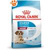 Royal Canin Dog SHN Medium Starter Mother&Babydog - Offerta [PREZZO A CONFEZIONE] Quantità Minima 2, Sacco Da 15 Kg