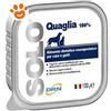 DRN Dog & Cat SOLO Quaglia - Vaschetta Da 300 Gr - CONFEZIONE RISPARMIO
