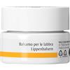 WALA ITALIA Srl Dr hauschka balsamo labbra 4,5g - DR HAUSCHKA - 934296930