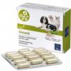 CAMON SpA Ormevit 60 compresse - CAMON - 925464137