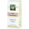 FARMADERBE Srl Olio essenziale eucalipto 10 ml - - 900904766