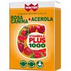 GDP Srl-GENERAL DIETET.PHARMA Winter vitamina c plus 1000 rosa canina + acerola 32 compresse - - 974881789