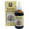 ECOL Sas Fucus estratto analcolico 50 ml articolo 796 - ECOL - 910328537
