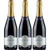 CONFINIDELGUSTO Firriato Gaudensius Blanc de Noir- 3 Bottiglie