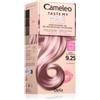 Delia Cosmetics Cameleo Taste My Hair 1 pz