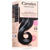 Delia Cosmetics Cameleo Taste My Hair 1 pz