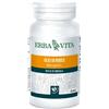 Erba Vita - Olio di Ribes 60 Perle 673 mg - Integratore alimentare ricco di acidi grassi essenziali