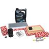 Kit Ispezione 1,6 16V Ford Focus MK1 Inkl. 5 Litri 5W30 Wolf Olio Motore