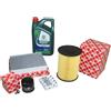Febi Bilstein Kit Ispezione 1,5 EcoBoost Ford Focus Inclusi 5 L Olio 5W20 Castrol