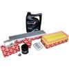 Febi Bilstein Kit Ispezione Ford Mondeo 1,8 2,0 16V incl. 5L 5W20 Wolf, febi bilstein