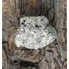 Perù Dorato Pirite 109.05 CT/25 MM Naturale Raw Gemma Grezzo Certificato T33426