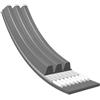 MEYLE Cinghia Poly-V 0500030850 | Compatibile con: LANCIA THEMA, SMART CABRIO, CITY-COUPE, CROSSBLADE, FORTWO Cabrio, FORTWO Coupe, ROADSTER, ROADSTER Coupe