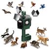 MQHUAYU Deterrenti per gatti per giardini UK, deterrente per piccioni, deterrenti per volpi, spaventatori Brd, repellente per animali ad ultrasuoni solare, repellente impermeabile IP44 per gatti e