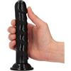 TOYZ4LOVERS Dildo Anale Ugo 15,5 cm [Extra 5% PER I CLIENTI REGISTRATI]