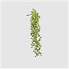 EDG Enzo De Gasperi Echeveria Olis Cespuglio Cadente H 44 Cm Pianta Artificiale Verde Chiaro