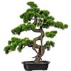 Gasper Bonsai Artificiale 65x50 cm con Vaso
