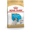 Royal Canin Jack Russell Terrier Puppy cibo secco per cuccioli fino a 10 mesi, razza jack russell terrier 3kg