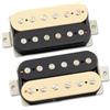 Tonerider Birmingham AC5 Humbucker (Set-F-Zebra)