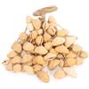 Percussion Plus Agitatore di semi naturale onestamente fatto