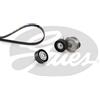 GATES Kit Cinghie Poly-V GATES K016PK1845XS