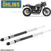 OHLINS TRIUMPH Street Cup 2018 cartuccia OHLINS FKS 214 NIX 22
