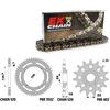 PBR BMW F /ST /GS 650 1994-2007 catena Oro Gold kit 520 PBR EK 181BLACK&GOLD