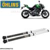 OHLINS KAWASAKI Z 900 2017-2020 cartuccia OHLINS FKS 502 NIX 30