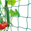 Miuezuth Premium - Rete per rampicanti con maglie larghe, per raccolti particolarmente redditizi di cetrioli, pomodori e altre piante di ortaggi