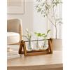 Bamworld Stazione di Propagazione delle Piante Idroponiche con Supporto in Legno 3 Vasi in Vetro per la Coltivazione delle Piante Acquatiche e Decorazione