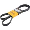 Contitech 6 PK 1680 Cinghie Trapezoidale