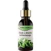 PURE CHEMICAL by CHOSA CHOSA Olio Essenziale Di Tea Tree 30 ml - Olio profumato naturale al 100% per diffusori per aromaterapia - umidificatori - sauna e massaggi - Profumo intenso per ambienti