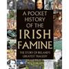 Tony Potter A Pocket History of the Irish Famine (Copertina rigida)