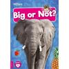 William Anthony Big or Not? (Tascabile) BookLife Non-Fiction Readers