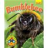 Ruth Owen Wildlife Watchers: Bumblebee (Tascabile) Ruby Tuesday Readers