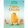 Fiona Patchett Eggs and Chicks (Copertina rigida) Beginners
