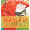 The World's Most Beautiful Birds! Animal Book for Toddlers Ch (Copertina rigida)