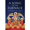 Lawrence R Farley A Song in the Furnace (Tascabile)