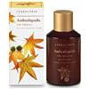 L'ERBOLARIO SB Srl L'Erbolario Linea Ambraliquida Misteriosa e Intensa Olio Vellutante Corpo 125 ml