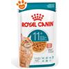 Royal Canin Cat Feline Health Nutrition Senior Ageing 11+ Gravy - Bustina Da 85 Gr