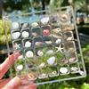 TaoQ C Acrilico Magnetico Seashell Display Box, 36 Griglie Scatola Espositiva Seashell Scatola Trasparente di Conservazione delle Conchiglie per Seashell Bead, Nail, Gioielli