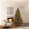 EDG - Enzo De Gasperi Albero di Natale Pino Argentato 4000 Mini LED in PE Verde H210xD149 cm