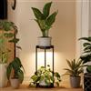 Bamworld Portapiante da Interno a 2 Livelli in Metallo con Luci di Coltivazione per Piante Multiple Supporti Rotondi in Ferro per Piante Scaffale per Giardino Patio Soggiorno Angolo Balcone