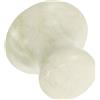 Ipetboom Strumento Massaggio Viso in Jade Forma Funghi Gua Sha per Anti-Invecchiamento e Relax Facciale Design Ergonomico