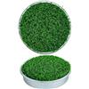 Generico Coppe da Golf per Putting Green Leggero Portatile Strumento In Campo
