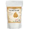 PURE CHEMICAL by CHOSA CHOSA Gomma di Guar Polvere 100g, Addensante Alimentare per Cucina, Salse, Creme, Gelati, Pane Senza Glutine e Preparazioni Dolci