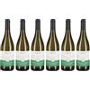 Feudi di San Gregorio | Friuli Colli Orientali SIRCH SAUVIGNON | Vino Bianco Annata 2024 | Confezione da 6 Bottiglie da 750ml
