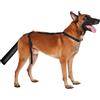YEAMLTE Protezione per La Coda del Cane Regolabile, Residenza Anti-Leccamento (S)