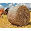 OAK Rete da Fieno per Balle Rotond-Standard ø159cm, Rete Fieno Rotolo, Materiale morbido che protegge la bocca del cavallo, Prolunga il tempo di alimentazione,per nutrire e conservare il fieno per cavalli