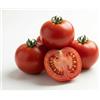 Generico Semi di Pomodoro Tondo Liscio Nano 6g | Semi da Orto Alta Germinazione | Pomodori Rossi Compatti Ideali per Vaso, Balcone e Orto | Semi Ortaggi Facili da Coltivare per Giardinaggio Domestico